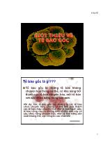 Bài 1: Giới thiệu về tế bào gốc