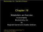 Bài giảng Biochemistry 2/e - Chapter 18: Metabolism--an Overview