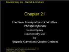 Bài giảng Biochemistry 2/e - Chapter 21: Electron Transport and Oxidative Phosphorylation