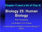 Bài giảng Biology 25: Human Biology - Chapter 5: Integumentary System