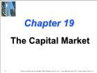 Bài giảng Financial Management - Chapter 19: The Capital Market