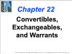 Bài giảng Financial Management - Chapter 22: Convertibles, Exchangeables, and Warrants