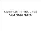 Bài giảng Financial Markets - Lecture 20: Stock Index, Oil and Other Futures Markets