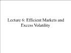 Bài giảng Financial Markets - Lecture 6: Efficient Markets and Excess Volatility