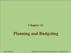 Chapter 13: Planning and Budgeting