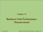 Chapter 14: Business Unit Performance Measurement
