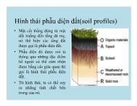 Hình thái phẫu diện đất (soil profiles)
