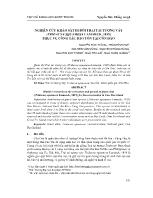 Nghiên cứu khảo sát di dời Trai tai tượng vảy (Tridacna squamosa Lamarck, 1819) phục vụ công tác bảo tồn tại Côn Đảo