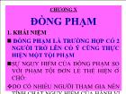 Luật dân sự - Chương X: Đồng phạm