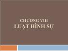 Luật hình sự - Chương VIII: Luật hình sự