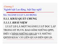 Luật lao động - Chương 5: Ngành luật Lao động, luật Dạy nghề