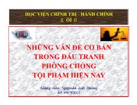 Những vấn đề cơ bản trong đấu tranh phòng chống tội phạm hiện nay