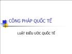 Công pháp quốc tế - Luật điều ước quốc tế