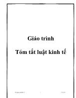 Giáo trình Tóm tắt luật kinh tế