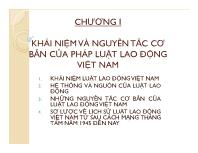 Luật lao động - Chương I: Khái niệmvà nguyên tắc cơ bản của pháp luật lao động Việt Nam