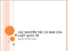 Luật quốc tế - Các nguyên tắc cơ bản của luật quốc tế