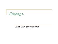 Luật tố tụng dân sự - Chương 6: Luật dân sự Việt Nam