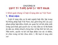 Luật tố tụng dân sự - Chương IX: Luật tố tụng dân sự Việt Nam