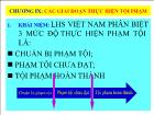 Luật tố tụng hình sự - Chương 09: Các giai đoạn thực hiện tội phạm