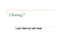 Luật tố tụng hình sự - Chương 7: Luật hình sự Việt Nam