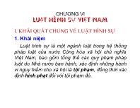 Luật tố tụng hình sự - Chương VI: Luật hình sự Việt Nam