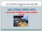 Cơ khí chế tạo máy - Gia công điện hóa electro - Chemical machining (ecm)