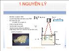 Tìm hiểu máy tạo mẫu nhanh Sla