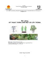 Bài giảng Kỹ thuật thâm canh một số cây trồng