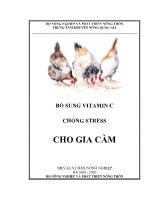 Bổ sung vitamin C chống stress cho gia cầm