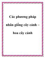 Các phương pháp nhân giống cây cảnh – hoa cây cảnh