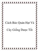 Cách bảo quản hạt và cây giống được tốt