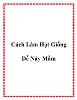 Cách làm hạt giống dễ nảy mầm