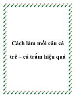 Cách làm mồi câu cá trê – cá trắm hiệu quả