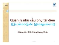 Điện điện tử - Quản lý nhu cầu phụ tải điện