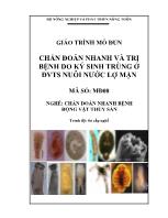 Giáo trình mô dun Chẩn đoán nhanh và trị bệnh do ký sinh trùng ở Đvts nuôi nước lợ mặn