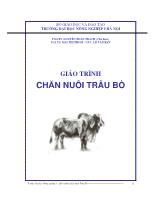 Giáo trình môn Chăn nuôi trâu bò