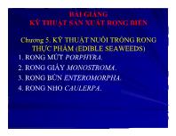 Kỹ thuật sản xuất rong biển - Chương 05: Kỹ thuật nuôi trồng rong thực phẩm (edible seaweeds)