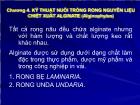 Kỹ thuật sản xuất rong biển - Chương 4: Kỹ thuật nuôi trồng rong nguyên liệu chiết xuất alginate (alginophytes)