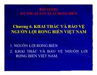 Kỹ thuật sản xuất rong biển - Chương 6: Khai thác và bảo vệ nguồn lợi rong biển Việt Nam