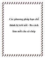 Nông - Lâm - Ngư nghiệp - Các phương pháp hạn chế thính bị trôi nổi - Ba cách làm mồi câu cá chép