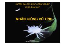 Nông - Lâm - Ngư nghiệp - Nhân giống vô tính