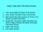 Nông - Lâm - Ngư nghiệp - Sinh thái môi trường rừng