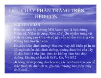 Tiêu chảy phân trắng trên heo con