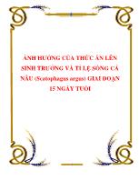 Tìm hiểu ảnh hưởng của thức ăn lên sinh trưởng và tỉ lệ sống cá nâu (scatophagus argus) giai đoạn 15 ngày tuổi