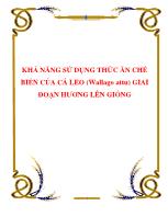 Tìm hiểu khả năng sử dụng thức ăn chế biến của cá leo (wallago attu) giai đoạn hương lên giống