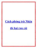 Cách phòng trừ Nhện đỏ hại rau cải