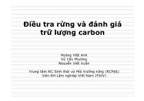 Điều tra rừng và đánh giá trữ lượng carbon