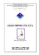 Giáo trình về Cây lúa