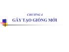 Nông - Lâm - Ngư nghiệp - Chương 4: Gây tạo giống mới