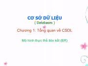 Bài giảng Cơ sở dữ liệu - Chương 1b: Tổng quan về cơ sở dữ liệu